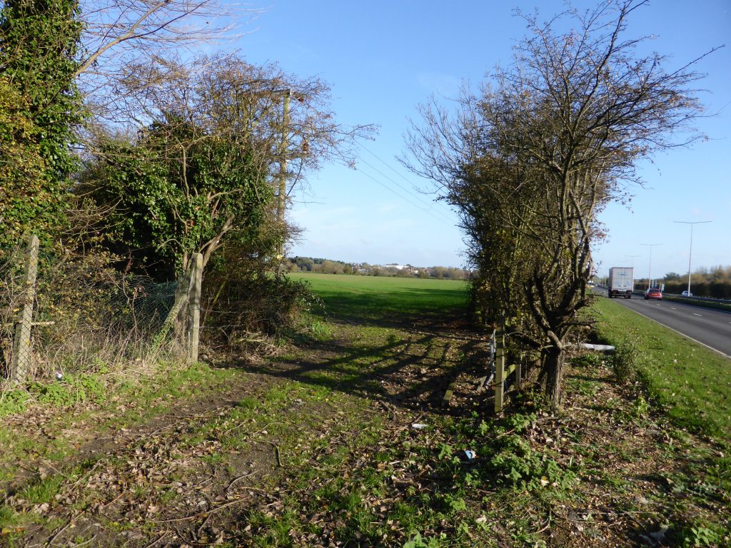 Image shows the piece of land where the development will take place. It's a large piece of poen land next to a major road. 